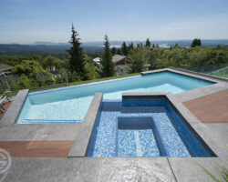 Alka-Pool-Residential-Infinity-Edge-1
