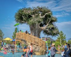 Residential Pools & Spas Gallery