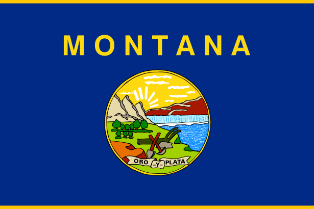 Montana, MT flag