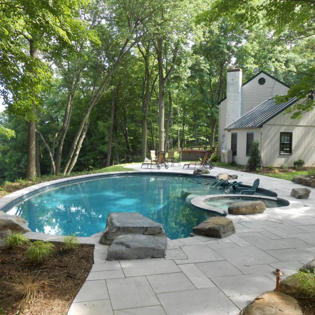 Watermania-Freeform-Pool-Natural-Pool