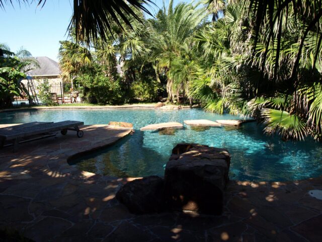 Residential natural pool - Master Pools Guild