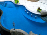 Natural swimming pool - Master Pools Guild