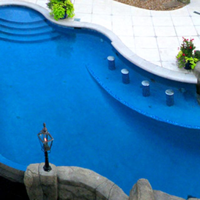 Natural swimming pool - Master Pools Guild