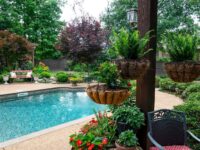 Freeform swimming pool - Master Pools Guild