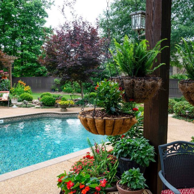 Freeform swimming pool - Master Pools Guild