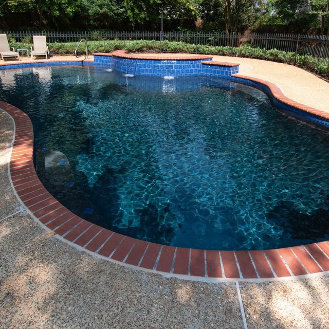 Natural swimming pool - Master Pools Guild