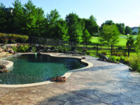 Natural water feature - Master Pools Guild
