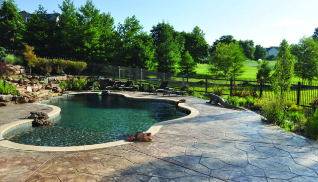 Natural water feature - Master Pools Guild