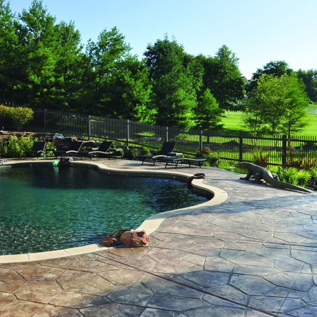 Natural water feature - Master Pools Guild
