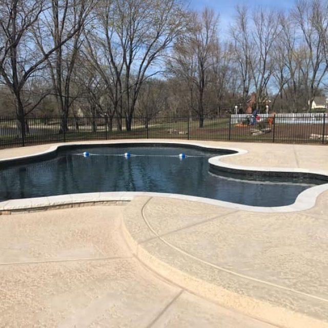 Residential freeform pool - Master Pools Guild