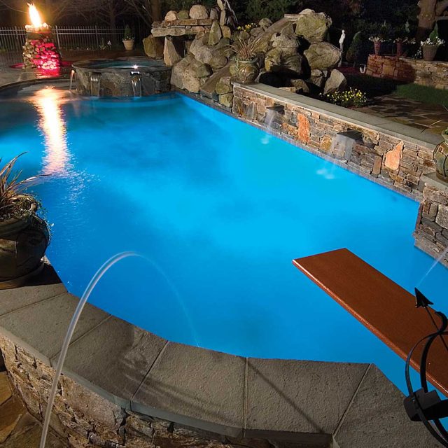 Natural pool - Rizza Construction Pool Co - Master Pools Guild