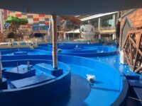 Waves Trading & Contracting W.L.L.