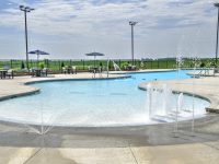 Commercial freeform pool - Pool Tech